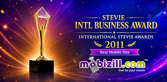 Stevie Intl Business Award